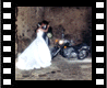 Cinzia e Salvatore