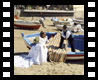 Maria e Vincenzo